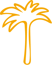 palm tree